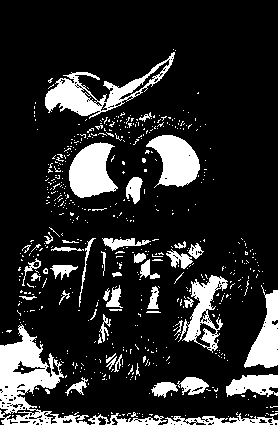 owl-964011-pixabay-2c.jpg