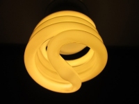 the-light-bulb-467527-pixabay.jpg